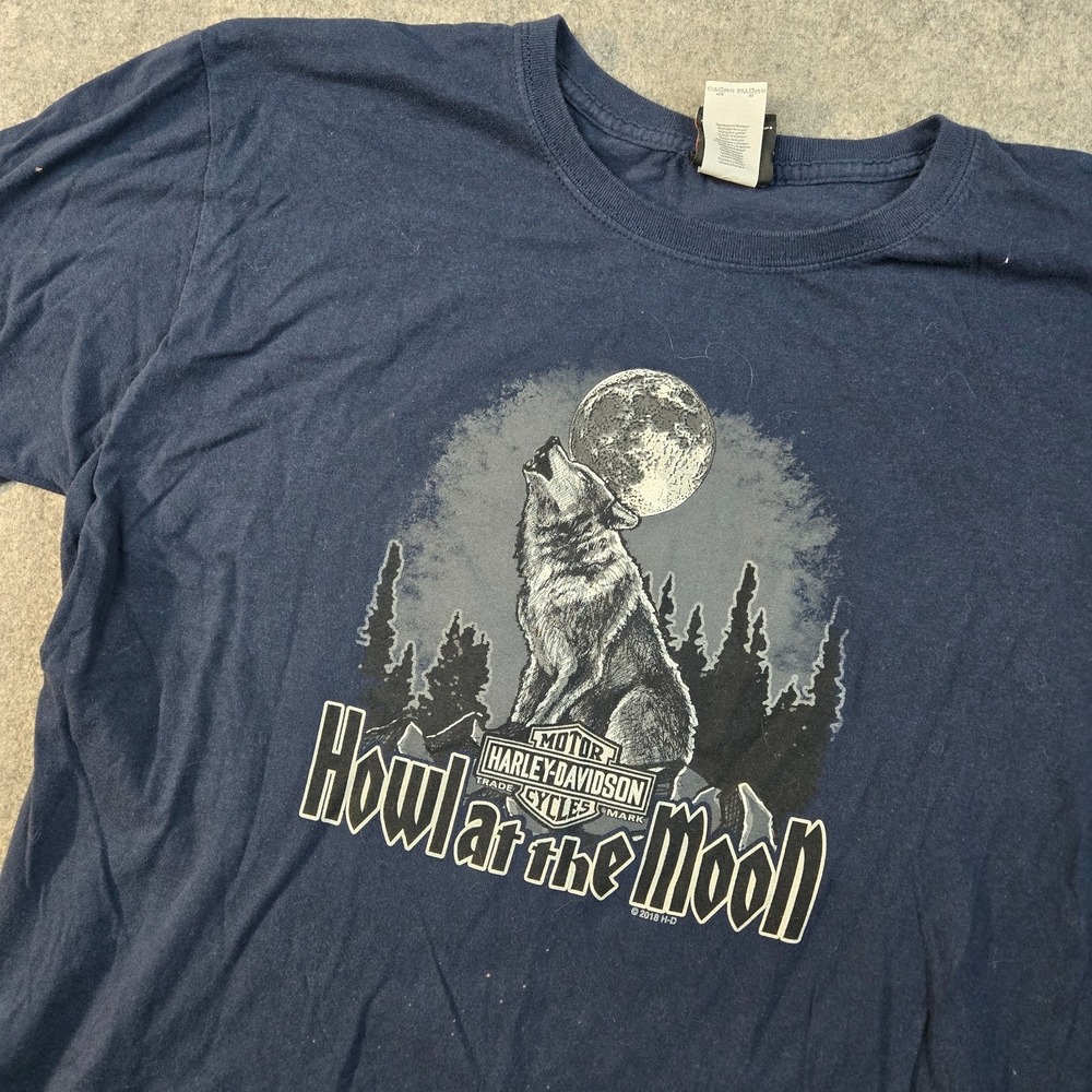 Harley Davidson T-Shirt Mens XL Blue Wolf Flames Nature Outdoors Biker Wisconsin